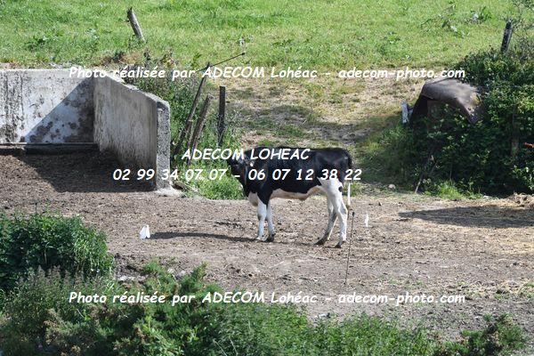 http://v2.adecom-photo.com/images//6.COURSE DE COTE/2023/9_COURSE_DE_COTE_ST_GOUENO_2023/AMBIANCE_DIVERS/39A_2305.JPG